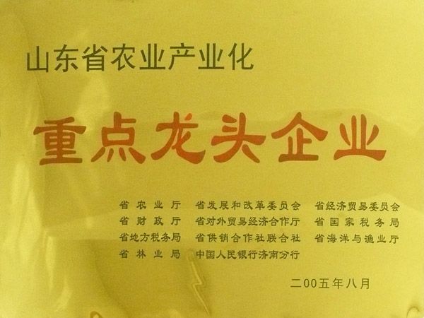 重點龍頭企業(yè)